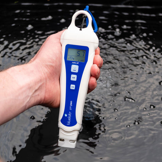 Bluelab pH Pen misst pH-Wert in einer Nährstofflösung